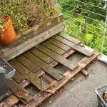 Dachterrasse-Douglasie-vorher